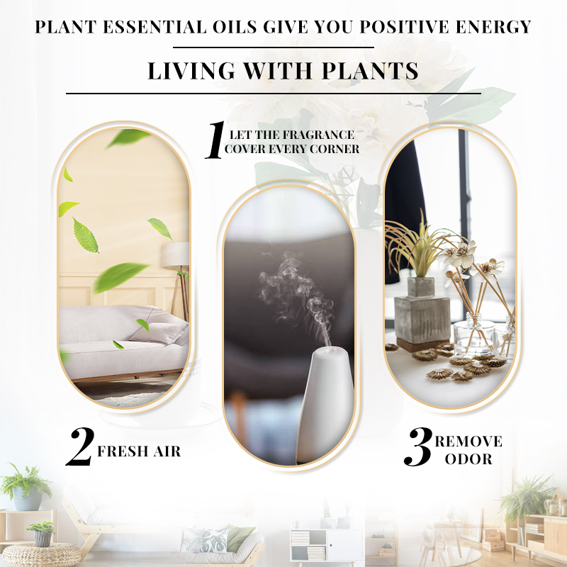 EVOKE OCCU 10mL Essential Oil, - Soap Making Ingredient 评论和价格